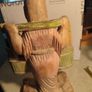 Chinese Polychrome Wood Carving of Boy Carrying Turtles Image 2