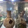 50l Fish tank and accessories Image 4