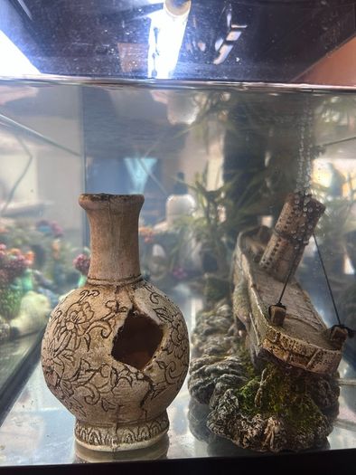 50l Fish tank and accessories