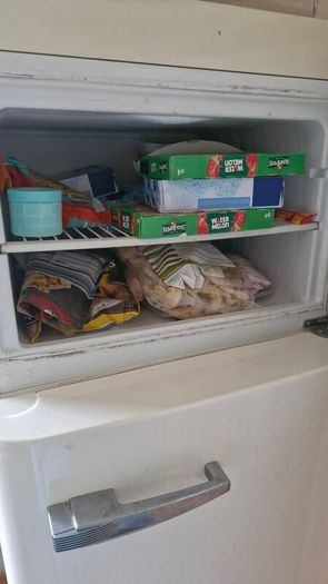 smeg fridge