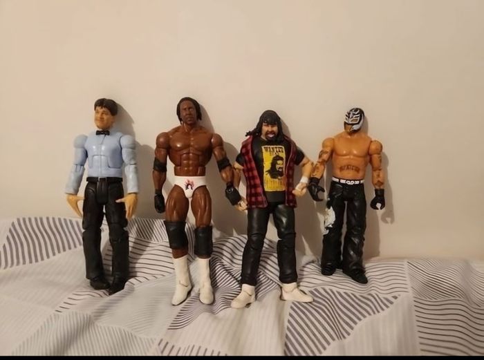 wwe action figures and accessories