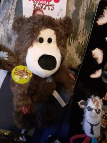 DOG and cat