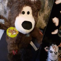 DOG and cat