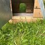 rabbit hutch cage Image 7