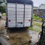 Ivor Williams 12 by 6 cattle trailer Image 2