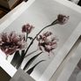 Desenio artwork print sets Image 8