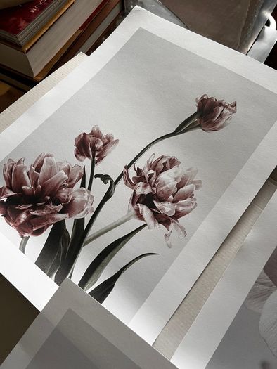 Desenio artwork print sets
