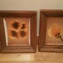 Matching Pair of 'Distressed' Finished Picture Frames with Simple Floral Prints Image 5