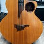 Taylor AB-1 ex John Entwistle Image 3