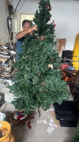 christmas tree