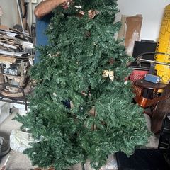 christmas tree
