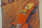 Mixed set of 23 Irish children's books