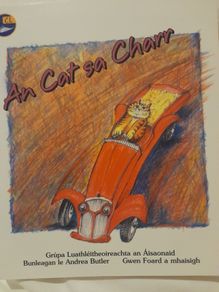 Mixed set of 23 Irish children's books