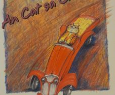 Mixed set of 23 Irish children's books