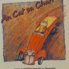 Mixed set of 23 Irish children's books