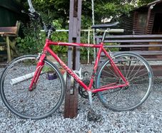 Giant custom flat bar racing bike ( suitable for 12-14 year old or small person)