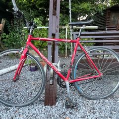 Giant custom flat bar racing bike ( suitable for 12-14 year old or small person)