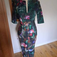 Stunning Ted Baker Dress Size 2 (UK 10-12)