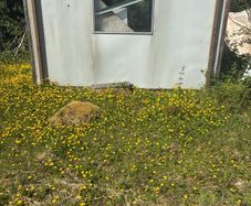 porta cabin
