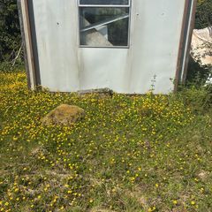 porta cabin