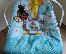Bright Starts 2-in-1 Baby Rocker & Toddler Chair