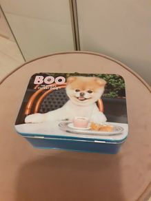 Boo the cutest dog storage tin