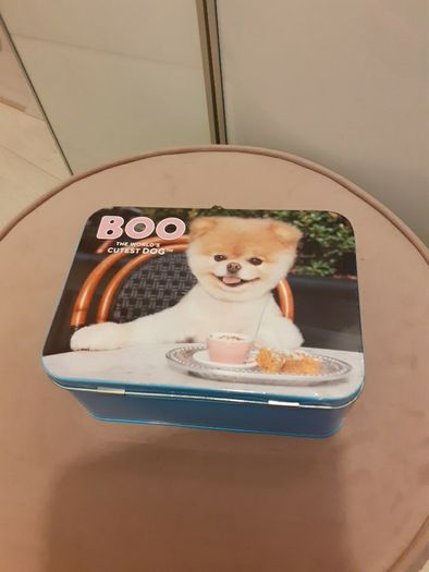Boo the cutest dog storage tin