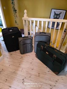 Suitcases - Wheelie Bags