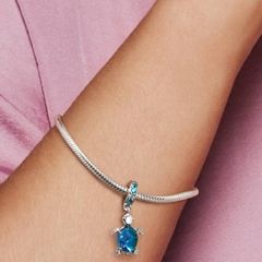 Pandora charm