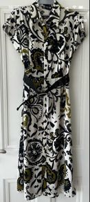 Zara dress