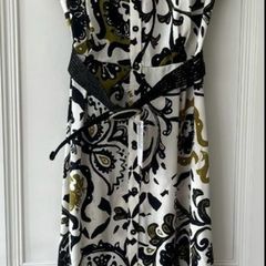 Zara dress