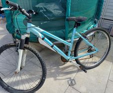 2 adult bikes