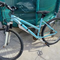 2 adult bikes