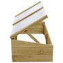 Greenhouses 2 pcs Impregnated Pinewood 100x50x35 cm Image 6