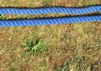 Barrier Rope