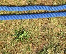 Barrier Rope
