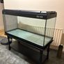aquarium Image 3