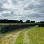 Hege Cutting and Flail Shredding Kildare Image 4