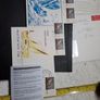 Maritime fdc stamps Image 2