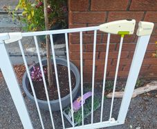lindam baby safety gate