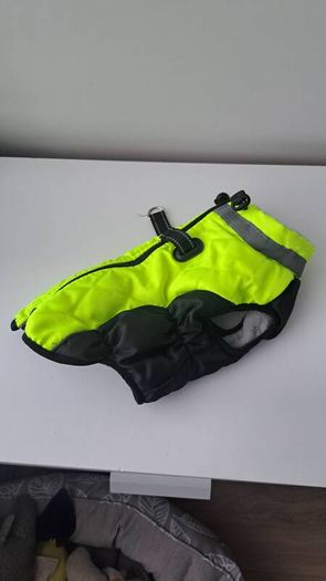 dog jacket