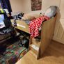 Loft bed with 20cm mattress Image 2