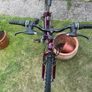 Bike Image 4