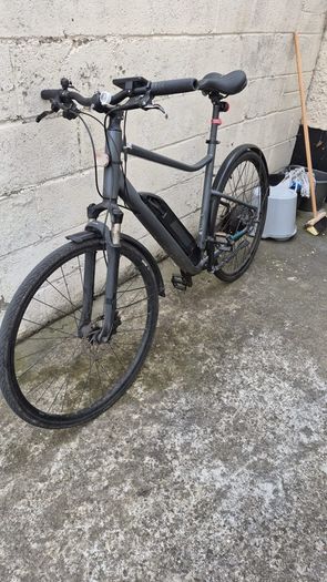 Electric hybrid bike