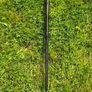 Tayloremade Spider ZT putter 34in Image 3
