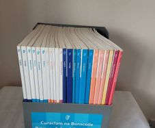 Primary School Curriculum