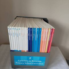 Primary School Curriculum