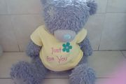 Teddy