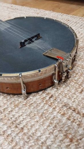 5 string banjo