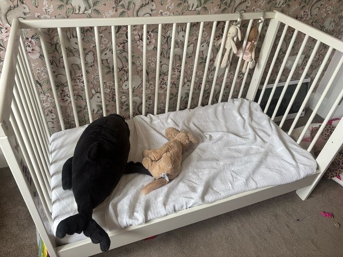 Cot with matress